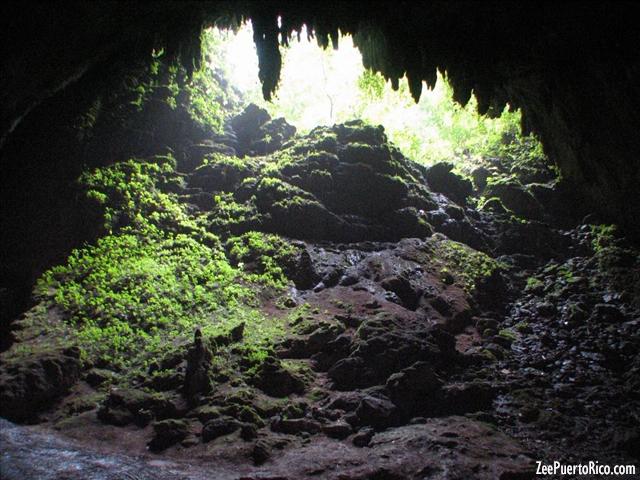 Parque De Las Cavernas Del Río Camuy